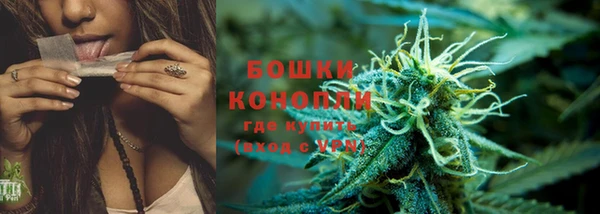 дурь Волосово